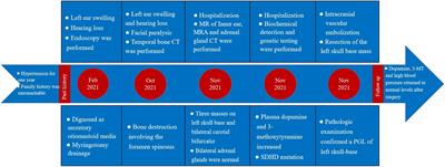 Case report: Bilateral carotid body tumors with a concomitant skull-base paraganglioma